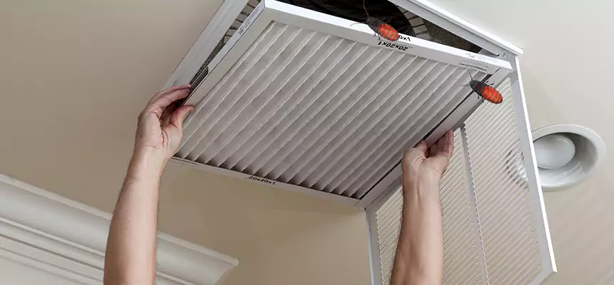 Our Insect Removal from Air Ducts Services in Severn, MD