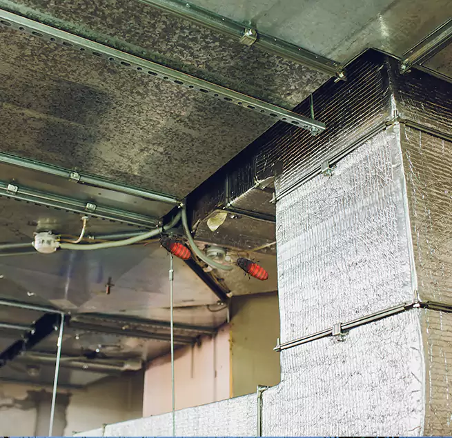 Why Homeowners & Businesses Trust Us in Severn, MD?