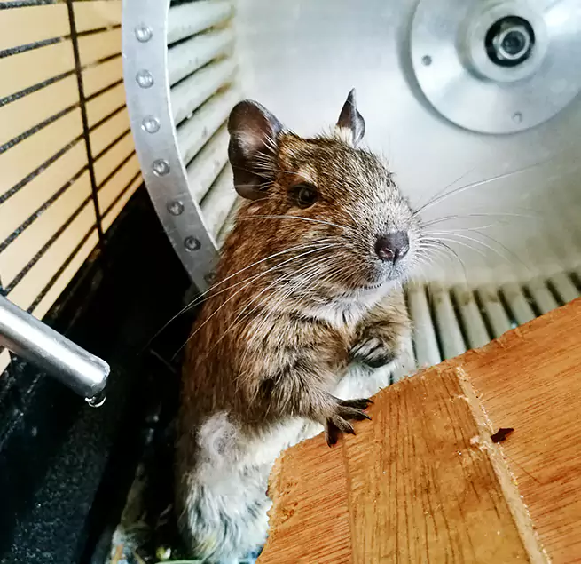 Why Homeowners & Businesses Trust Us Severn, MD?