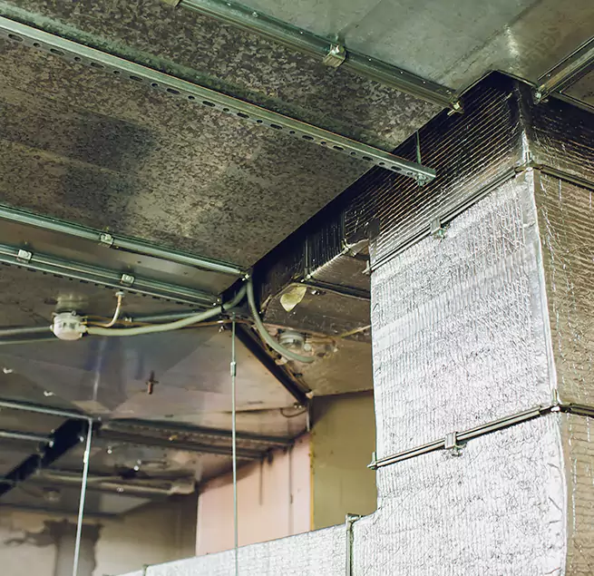 Why Homeowners & Businesses Trust Us in Severn, MD?